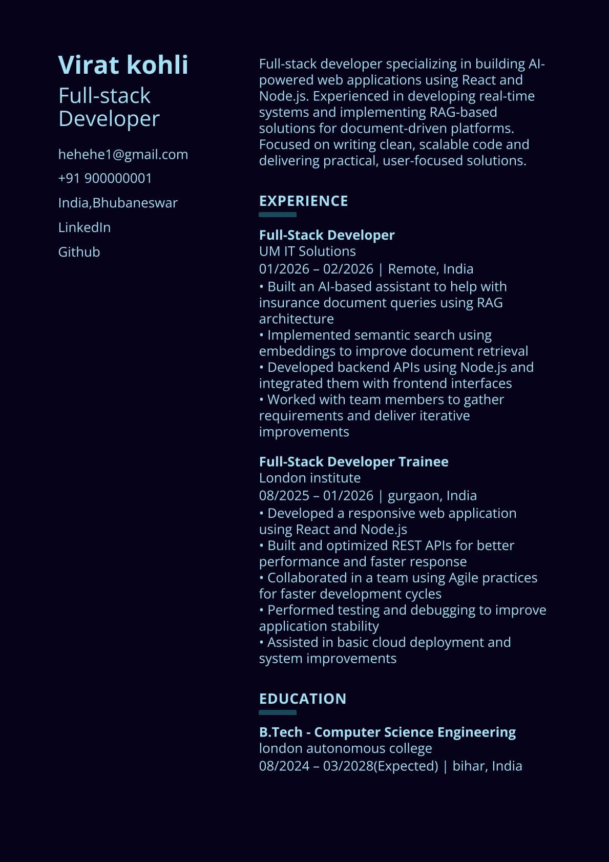 Dark Mode — Developer — ATS-friendly resume template preview